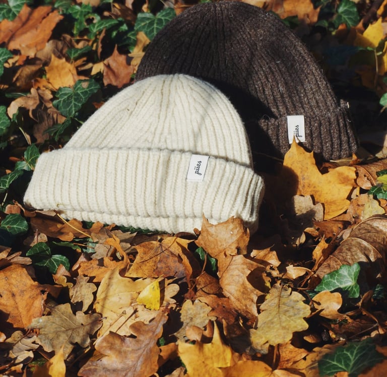 zwei Mützen liegen im Laub, eine Mütze ist in heller Farbe und eine Mütze ist in dunkler Farbe