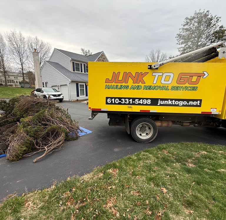 Yard debris and brush removal in East Norriton, PA.
