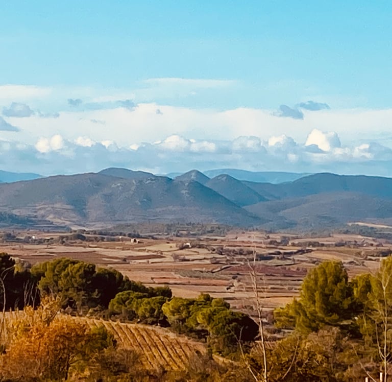 Panoramic landscape of rural agricultural fields and vineyards in a valley below rolling blue mountains.
