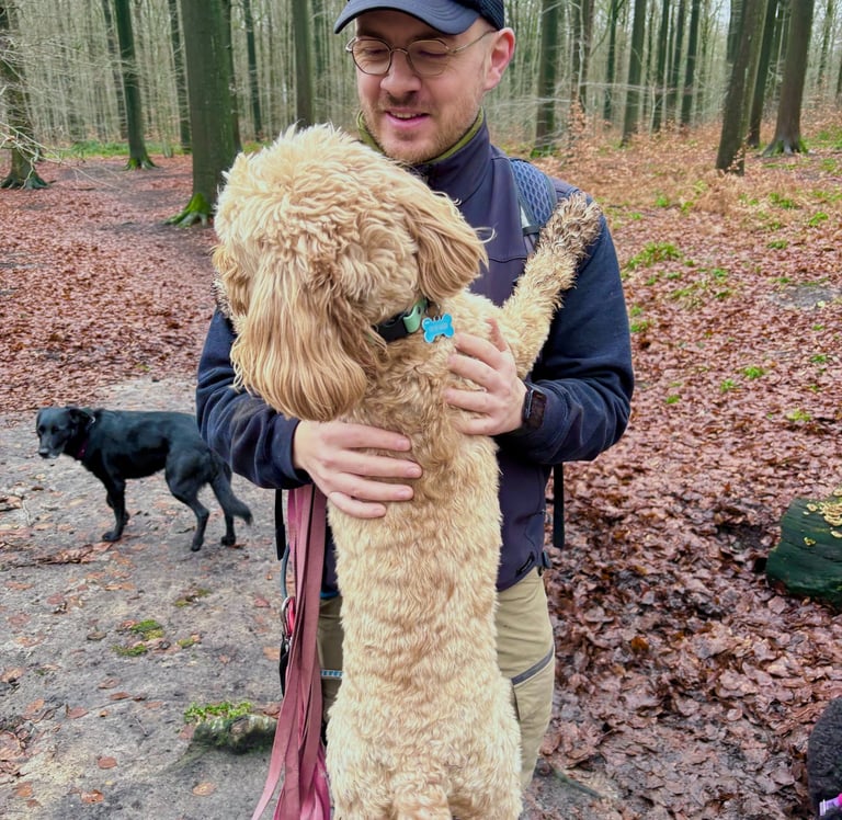 buddy doggy dog walking dog sitting Brussels