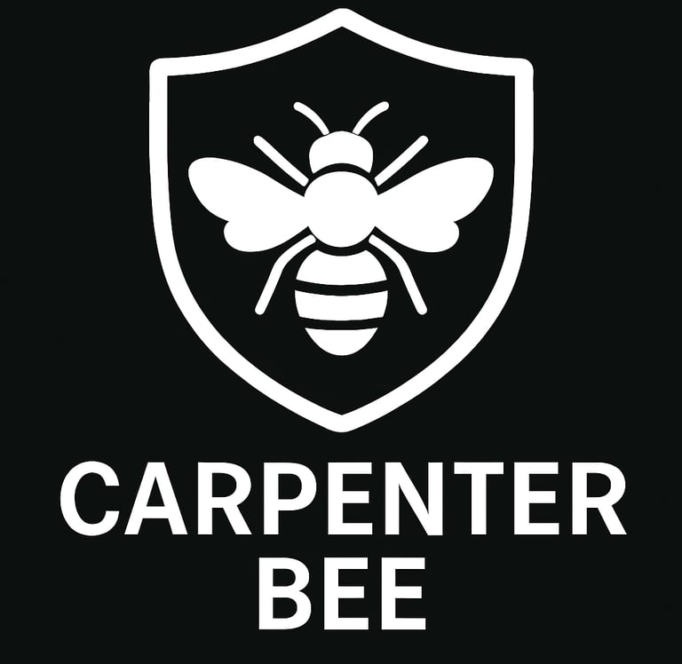 carpenter bee icon