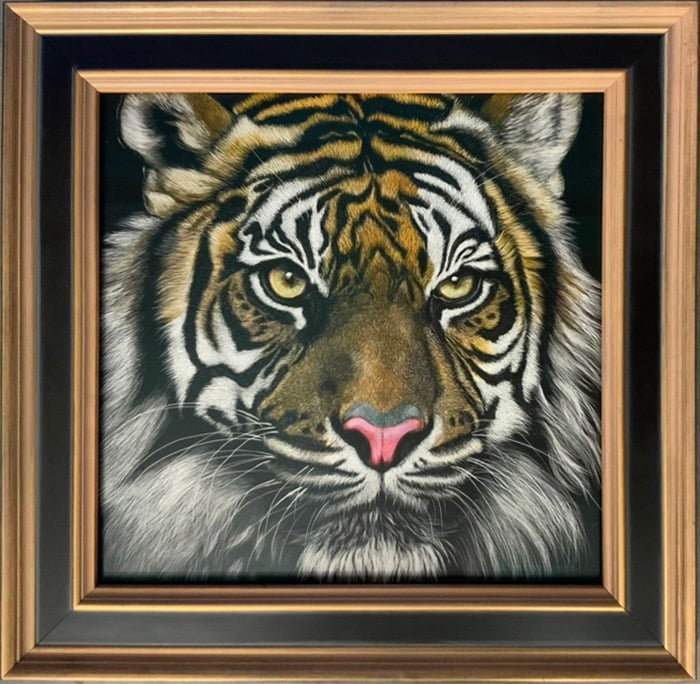 Detailed scratchboard tiger portrait  with intense yellow eyes in a black and gold frame.