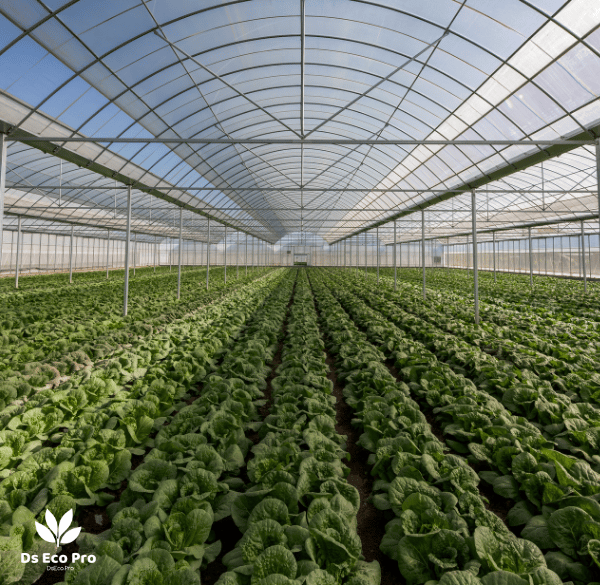 Serres agricoles déshumidificateur primes CEE 2025 AGRI-TH-117 Ds Eco Pro rendement boosté