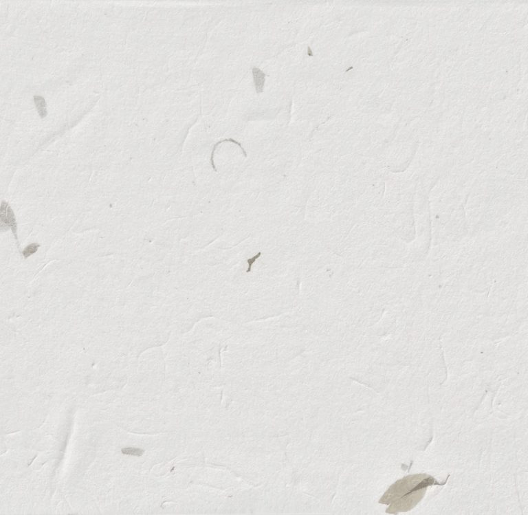 Texture of white handmade paper embedded with raw, organic botanical flecks and leaf fragments.