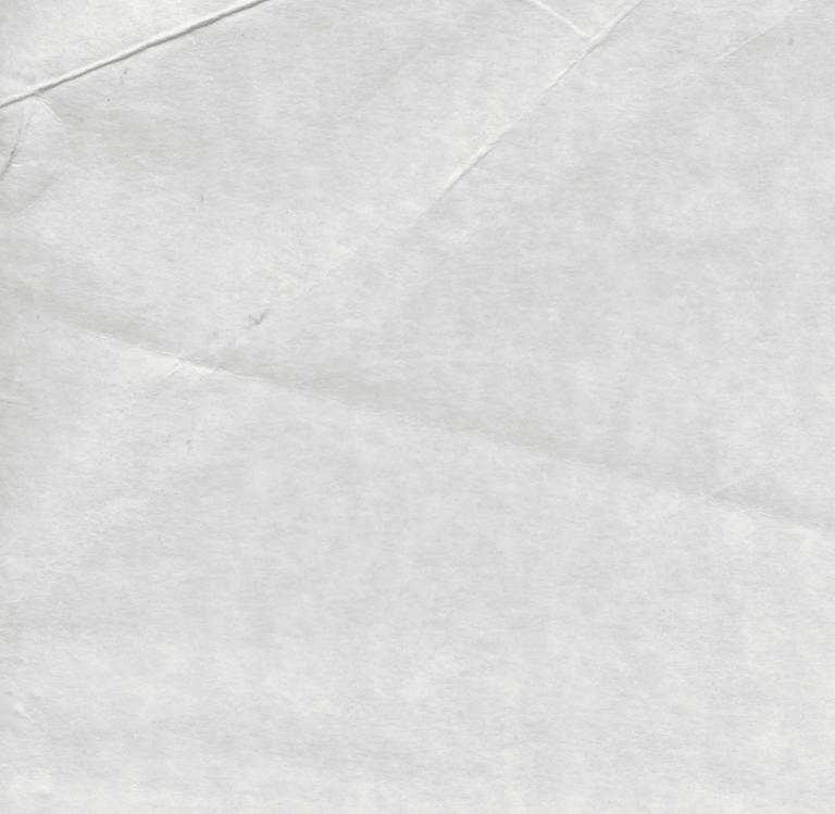 Texture of pale, textured paper with delicate creases and folded document lines.