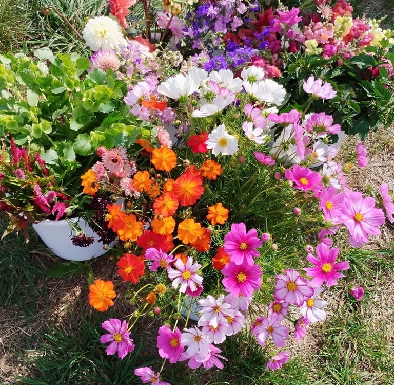 seaux de fleurs fraîches été jardins d'adonis