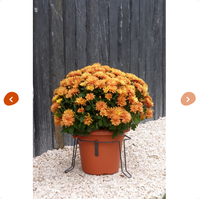 stabilisateur plante, cimetiere, tombe, pots pas renverser