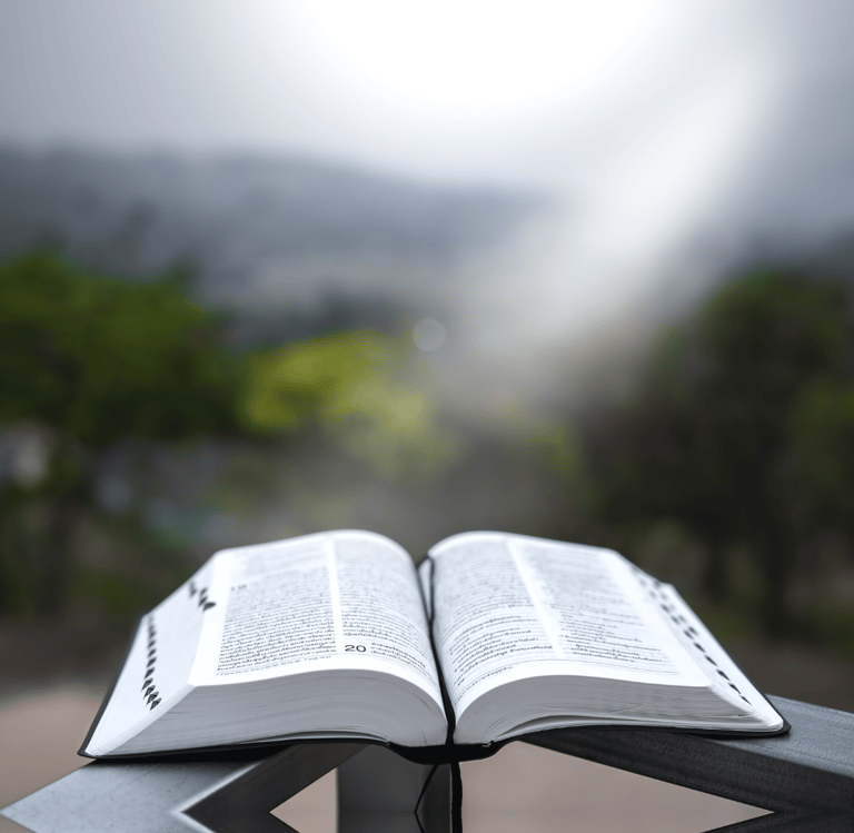 Bible ouverte pour l'étude de la bible 
