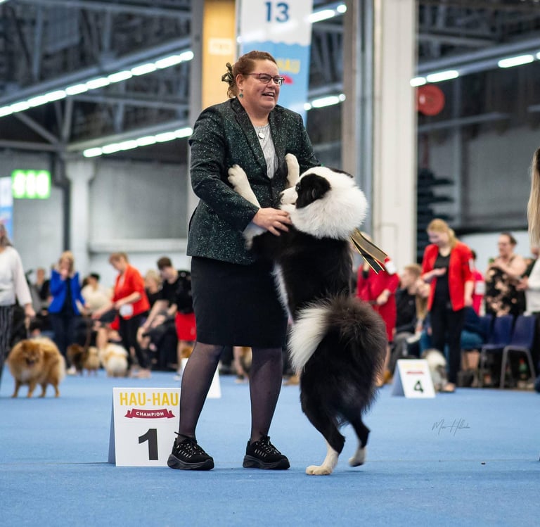 Yakutian laika kennel