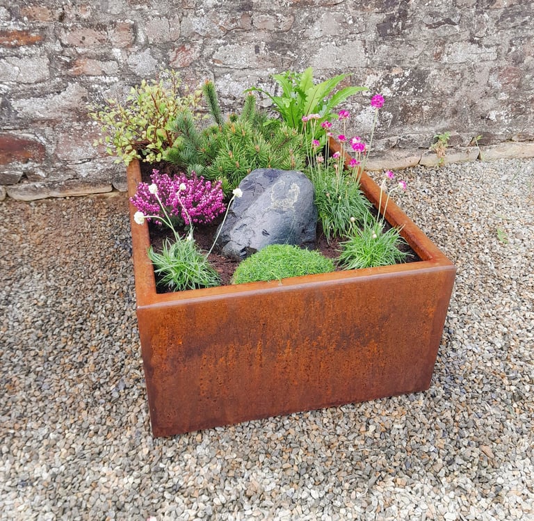 Bac cinéraire en acier corten avec compositions de conifères nains et fleurs roses.