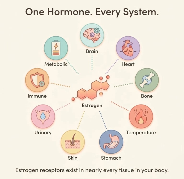 Illustrated diagram showing estrogen's connection to nine body systems
