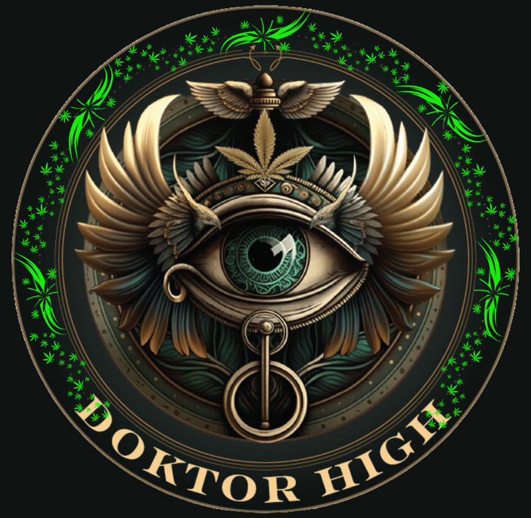 doktorhigh logo with green accents