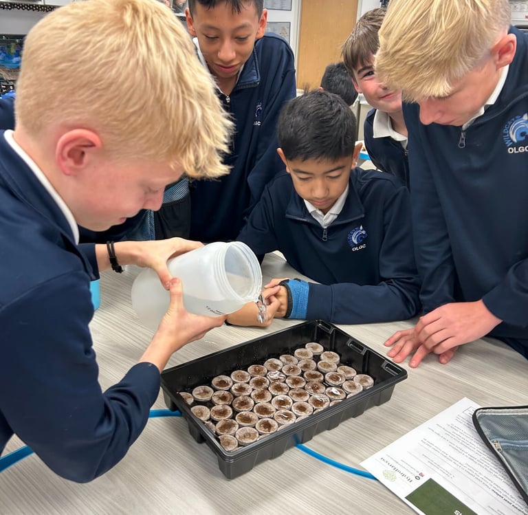 Students watering seedlings