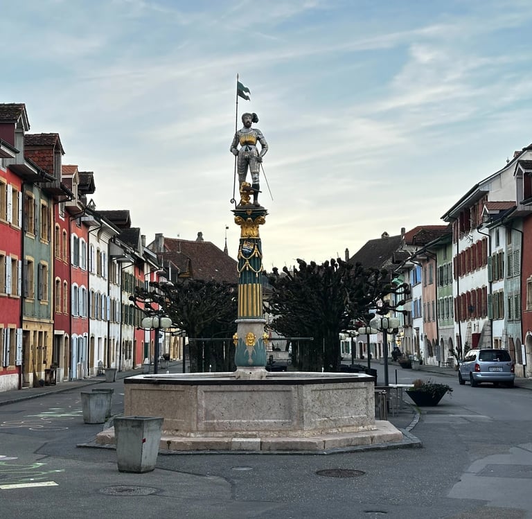 Le Landeron traitement de charpente et traitement des insectes du bois en Suisse