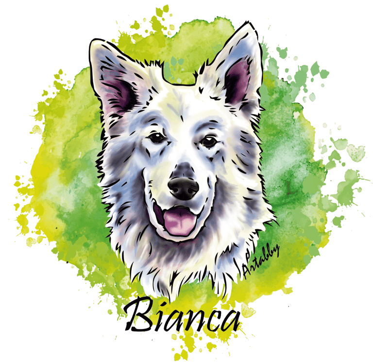 portrait digital en couleurs d'un chien