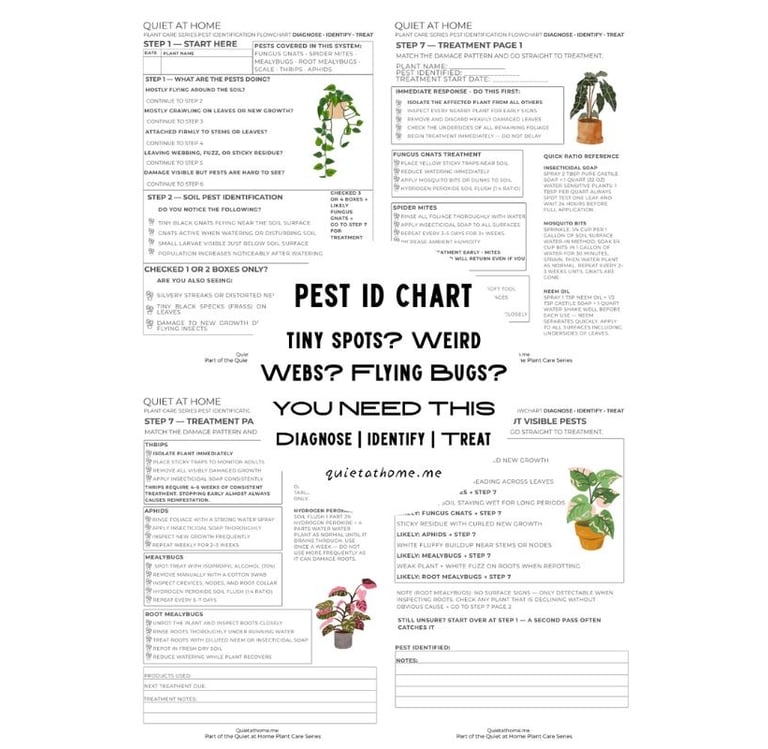 Houseplant pest identification chart printable from Quiet at Home that walks you through diagnosing
