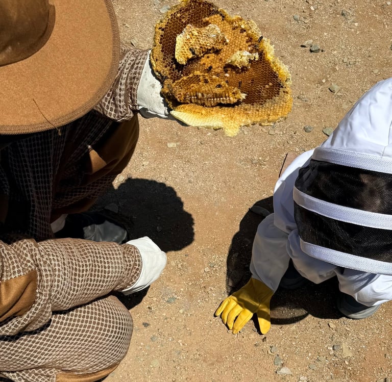 Pest Control Service in Menifee, CA Family and Pet Friendly Footprint Pest Management