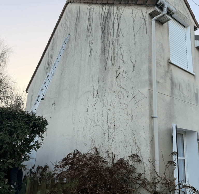 nettoyage façades 77