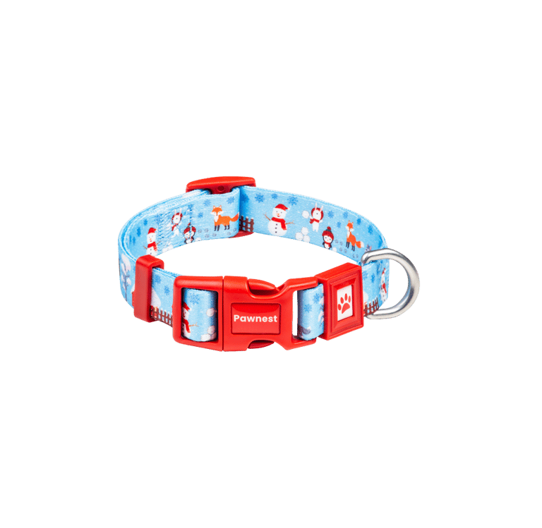 Pawnest® Frosty Friends dog collar – red buckle winter design with snowman print, recycled strap.
