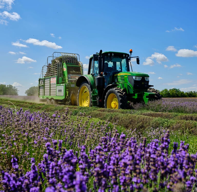 Wholesale supply - Lavandula Angustifolia water hydrosol for cosmetics