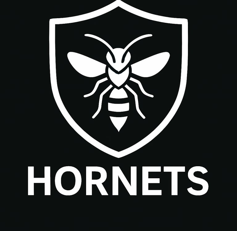 hornet icon