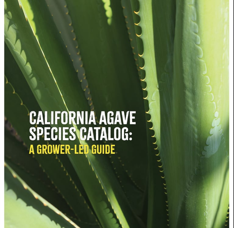 CALIFORNIA AGAVE SPECIES CATALOGUE
