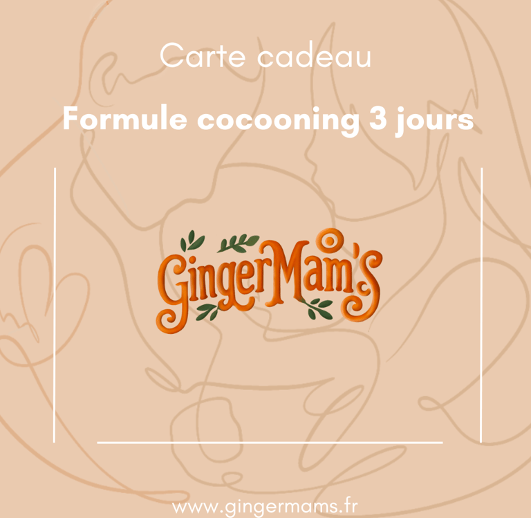 Carte cadeau disponible pour offrir les services de traiteur post partum GingerMam's