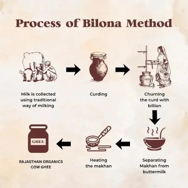 Infographic showing the traditional Bilona method process for making organic A2 cow ghee.