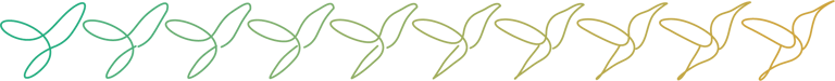 représentation graphique de l'évolution d'un projet, par la formation du colibri