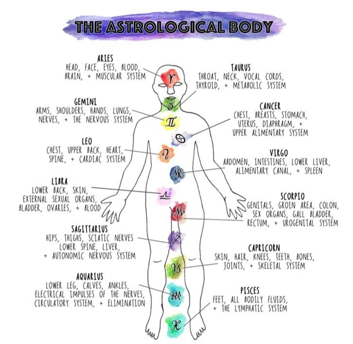 astrology and body