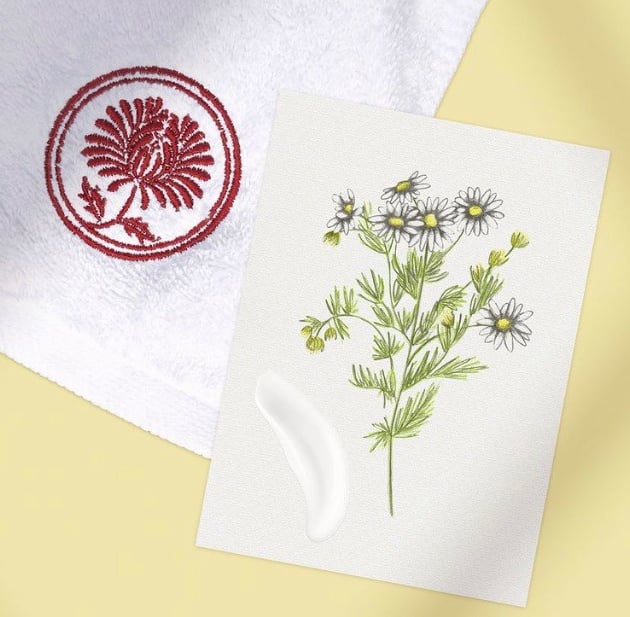 Card featuring an hand-drawn chamomilla botanical illustration next to a white towel on a yellow background