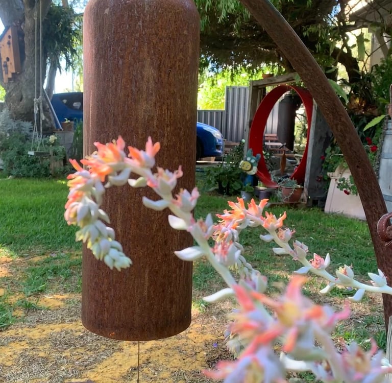 Rustic metal wind chime hanging in a garden with blooming succulent flowers in the foreground.