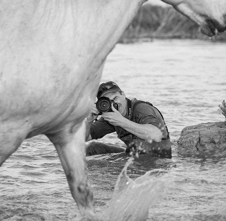 Pro photographer Patrice Aguilar kneeling in water to photograph a white Camargue horse.