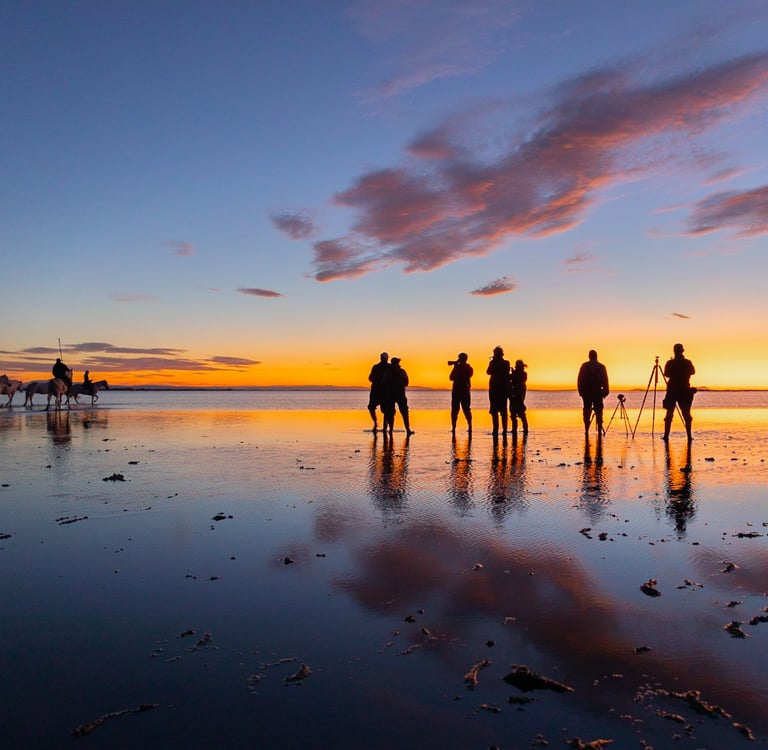 Photographers capturing Camargue horses on a beach at sunrise with a colorful sky reflection.