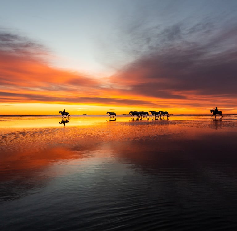 Silhouetted horses and riders walking across a salt flat during a vibrant orange and purple sunset.