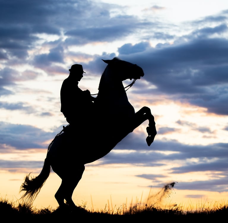 Silhouette of a cowboy on a rearing horse against a dramatic sunset sky with clouds.