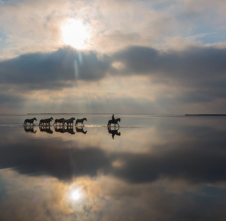 Silhouetted horses and a rider walking through reflective shallow water under a dramatic cloudy sunset.