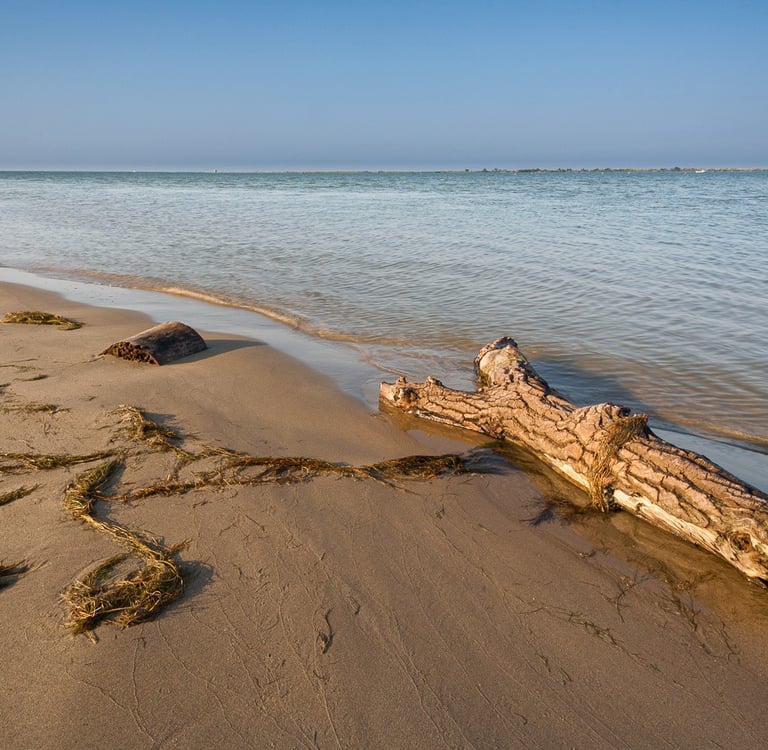 Driftwood log on a sandy beach shore with calm ocean waves and a clear blue sky.