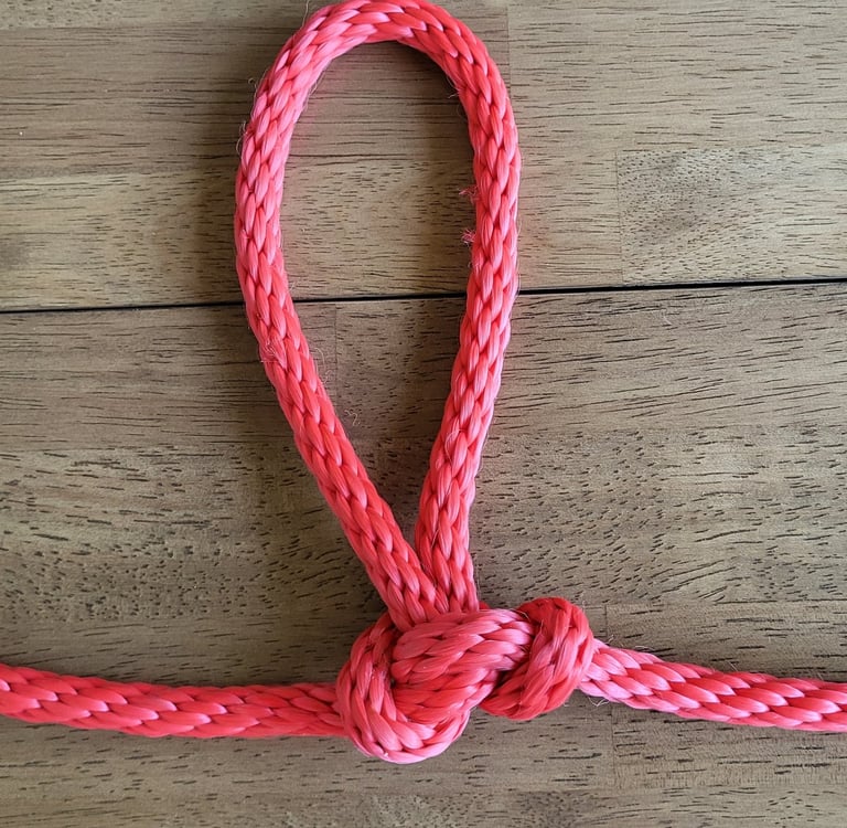 Alpine Butterfly Mid-line Loop Knot in red rope