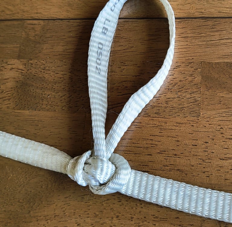 Alpine Butterfly Mid-line Loop in Mule Tape for pulling wire.