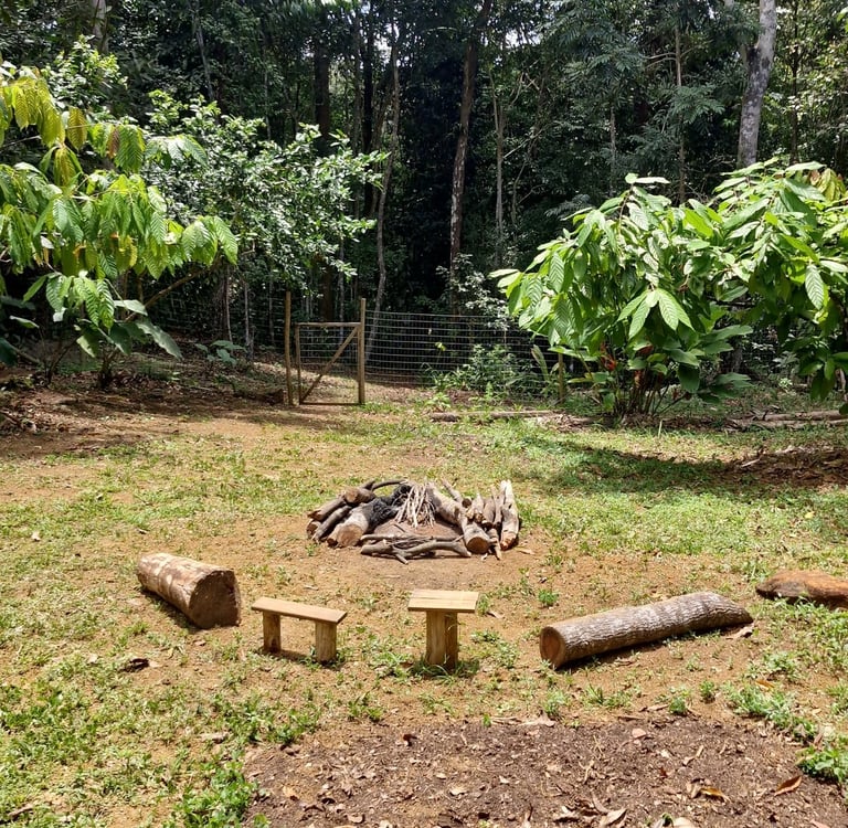 Floresta de Itacaré ao redor da Casa Cura, o ambiente natural onde acontecem os rituais de Ayahuasca