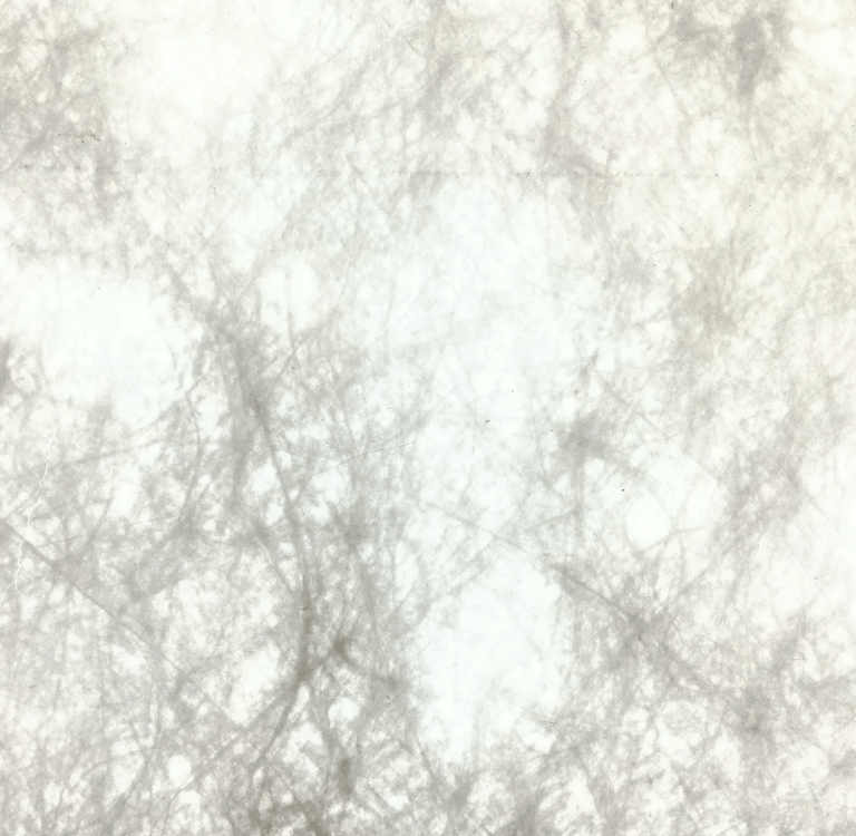 Abstract macro of textured, fibrous paper with delicate, root-like botanical filaments.