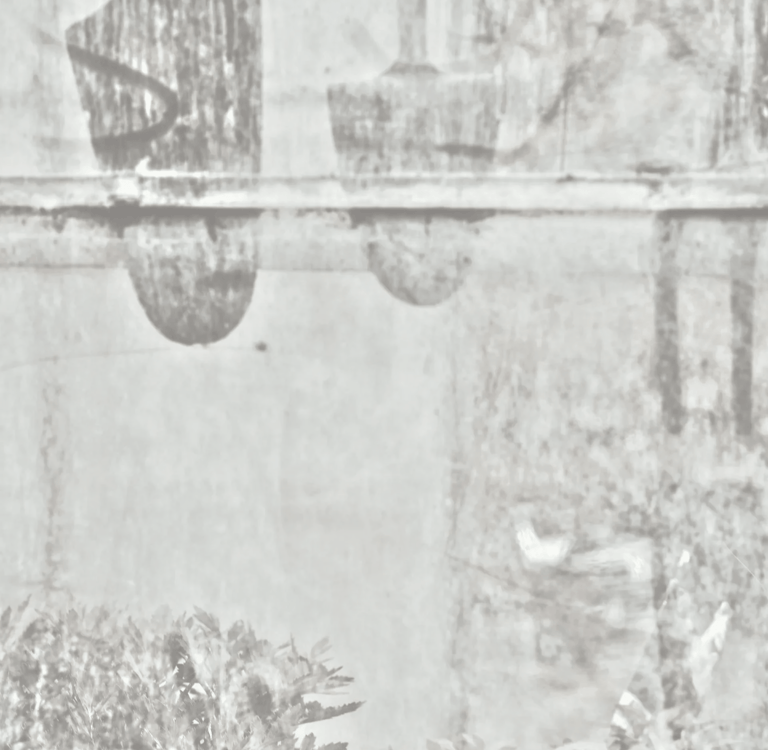 Shadows of garden tools silhouetted behind a misty, fogged glass window pane.