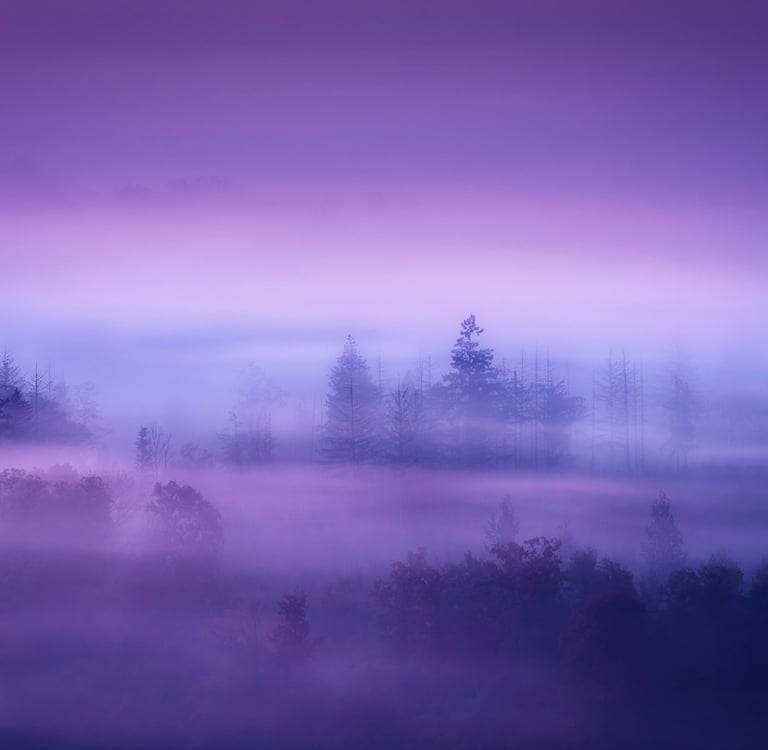 Landscape photographié par David Keochkerian