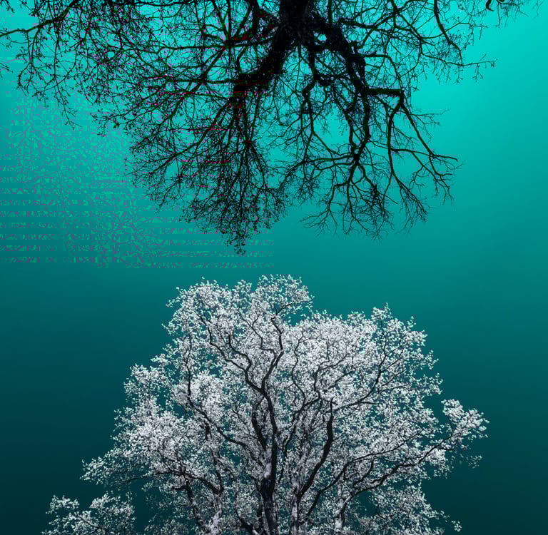 Paysage infrarouge artistique par David Keochkerian