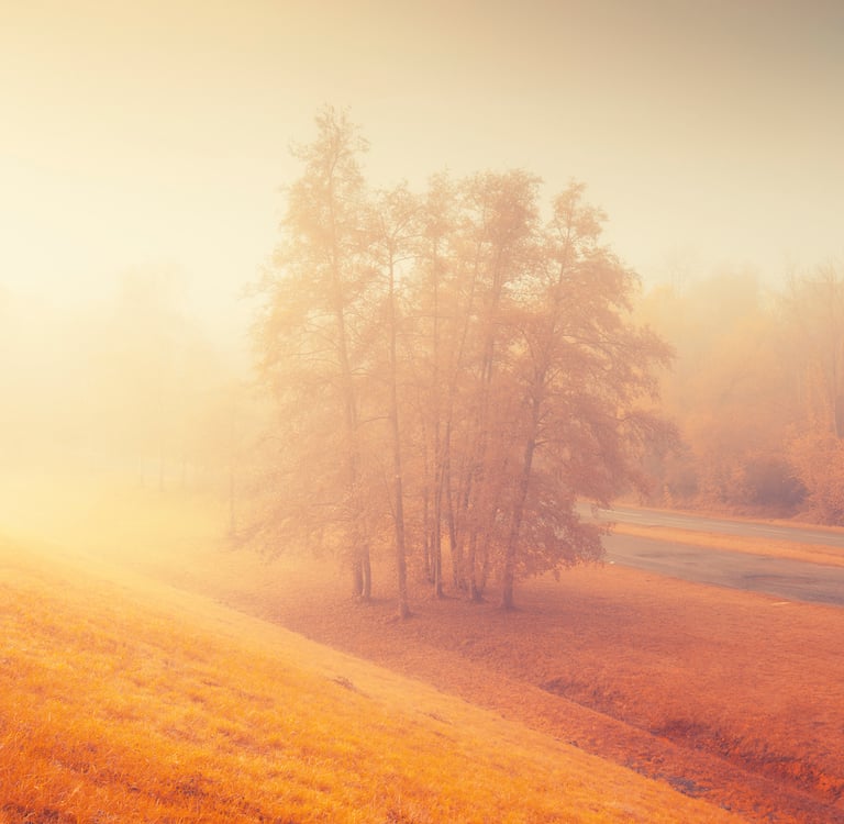 Paysage infrarouge artistique par David Keochkerian