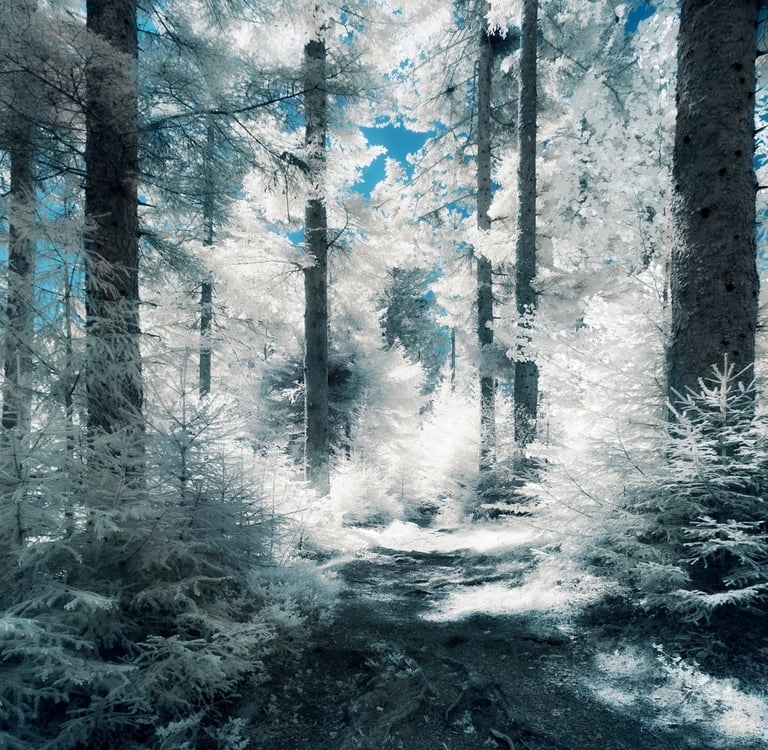 Paysage infrarouge artistique par David Keochkerian