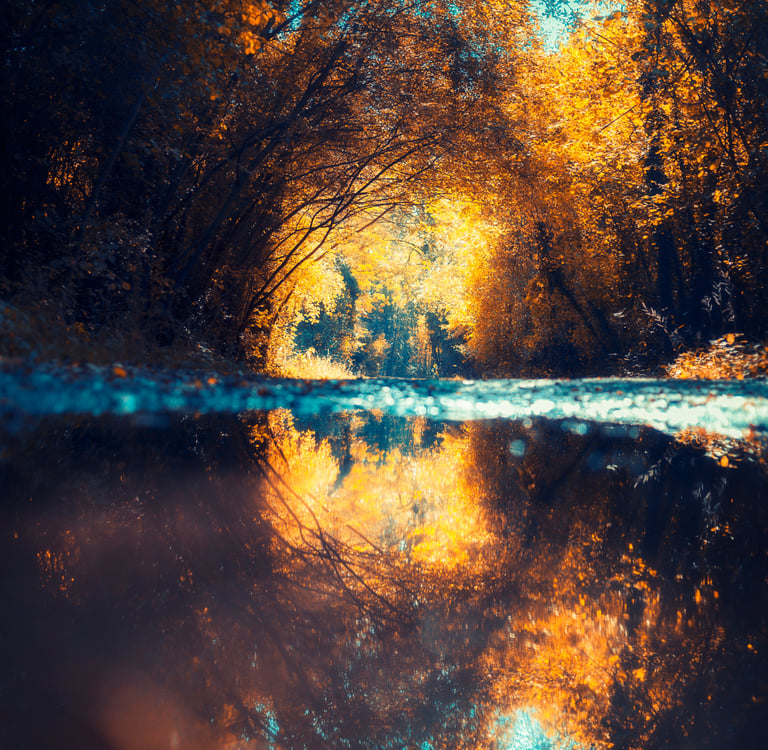 Paysage infrarouge artistique par David Keochkerian