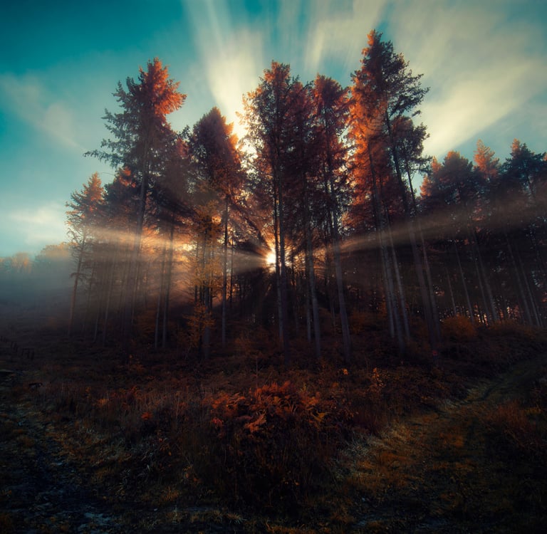 Landscape photographié par David Keochkerian