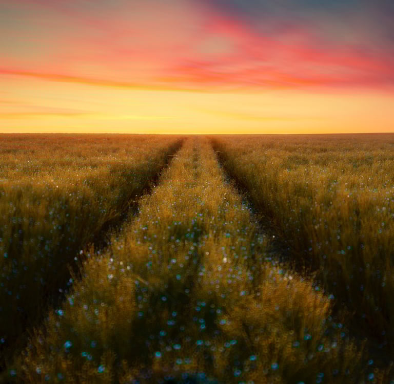 Landscape photographié par David Keochkerian